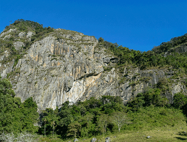 Sustentabilidade
