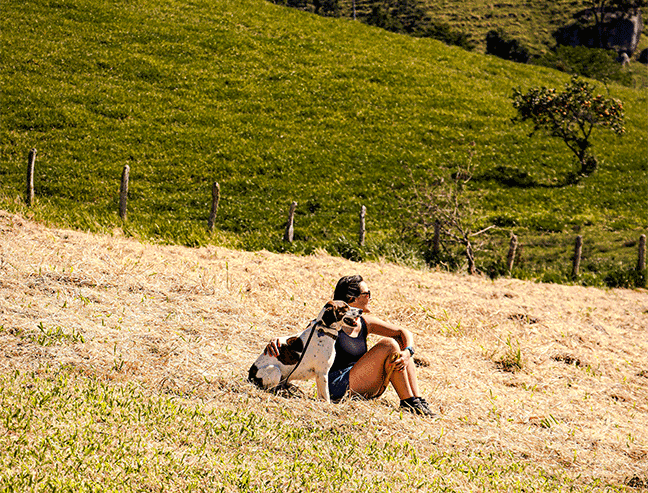 Sustentabilidade
